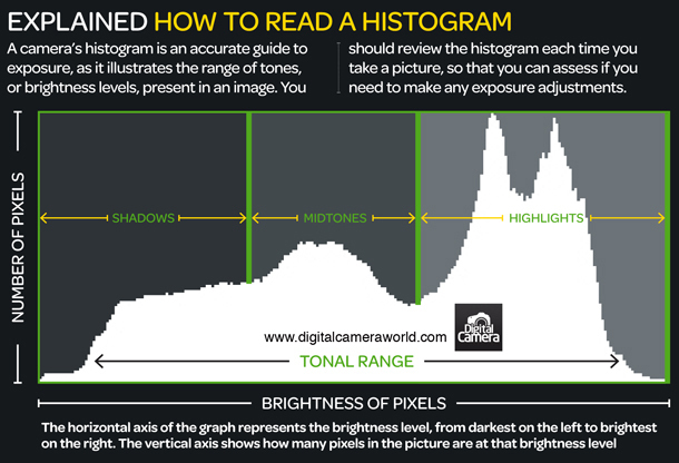 Histogram